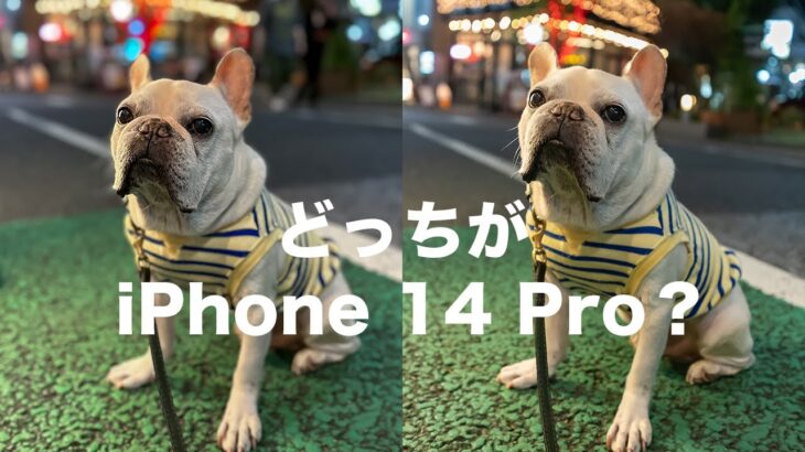 【iPhone 14 Proカメラ性能】フルサイズ一眼カメラと比較したら予想外の結果に
