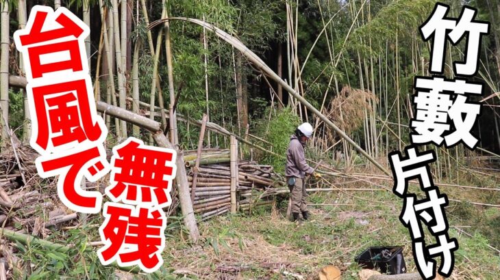 台風後無残に放置していた竹藪を片付けていく｜竹藪の現状