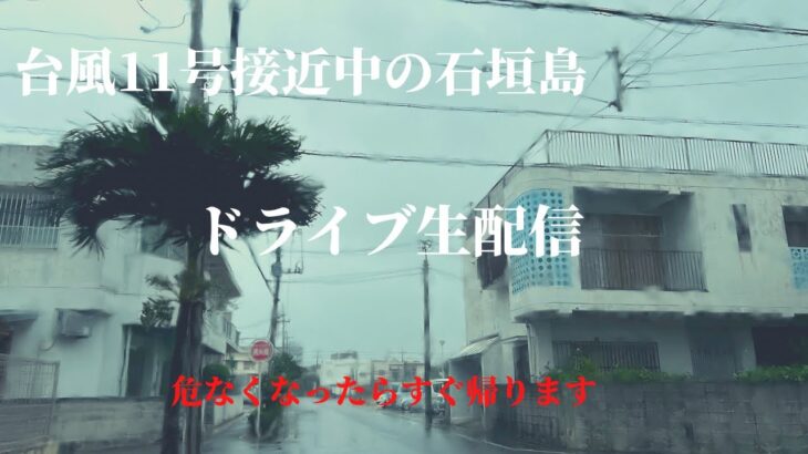 【石垣島】台風ドライブ　空いてる店を調査します