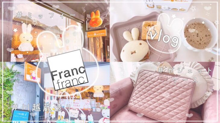 【購入品紹介＆vlog】francfranc(フランフラン )購入品のガジェットケースと、川越に出来たミッフィー蔵のキッチンに行ってきたよ🐰