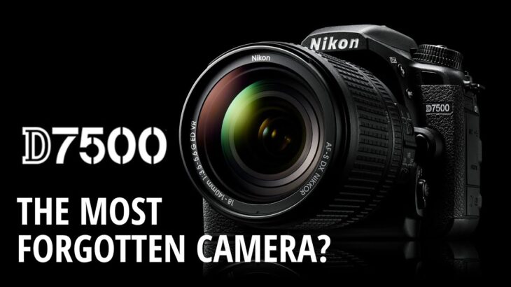 NIKON D7500 Review – The most forgotten camera?