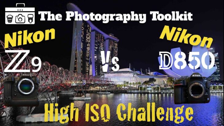 Nikon Z9 vs D850 High ISO Challenge