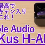 【Noble Audio FoKus H-ANCレビュー】AACでも音質最高！iPhoneにもおすすめなノイキャン搭載完全ワイヤレスイヤホンを徹底レビュー！！
