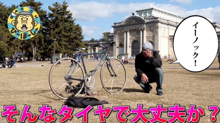 ロードバイクおじさんの奈良食べ歩き三昧サイクリング 腹パンパン&膝へなへなな往復90km