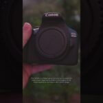 Is the Canon 2000D a Rebel Series Camera?