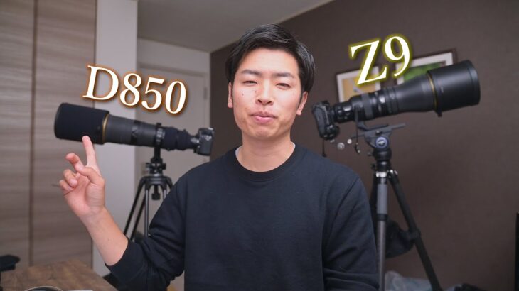【Nikon D850 Z9】それぞれのAFの特徴について解説 & Z9のAFの最適化について