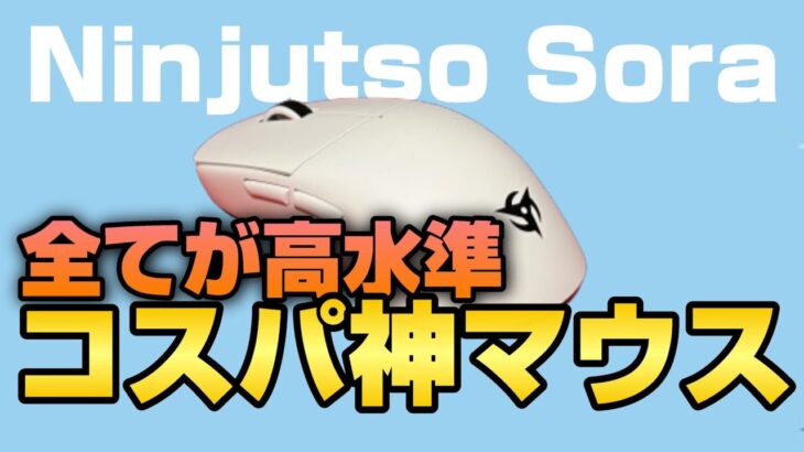 超ハイスペックでコスパ最高だけど人を選ぶ神マウス【Ninjutso Sora】