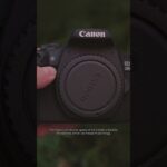 What Is the Maximum Shutter Speed of the Canon 2000D?