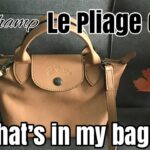 ロンシャン ルプリアージュ キュイールXS – バッグの中身 Longchamp Le Pliage Cuir XS – What’s in my bag?