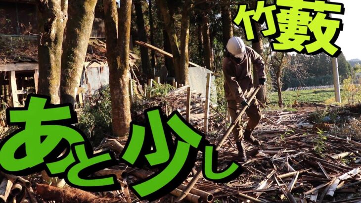 竹置き場が残り僅か‼コツコツ頑張って作業する