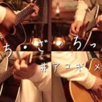 【アコギ】ぼっち・ざ・ろっく！ Acoustic Guitarメドレー 【全8曲】-BOCCHI THE ROCK! Acoustic Guitar Medley-