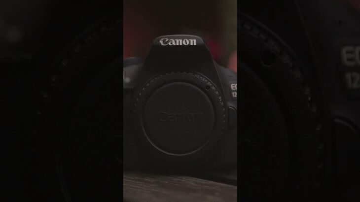 Can They Do 1080P @ 60FPS? Canon Rebel T5 (1200D) vs T6 (1300D)