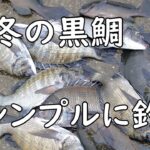 【フカセ釣り】安くてシンプルな配合で黒鯛を釣る【浜名湖・網干場】