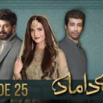 Mere Damad – Episode 25  [ Washma Fatima – Humayun Ashraf ] 2nd February 2023 – HUM TV