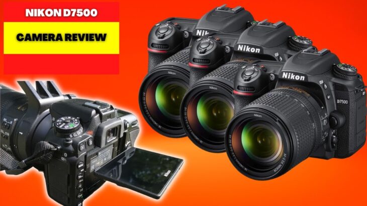 NIKON D7500 CAMERA REVIEW [2023]  BEST PROFESSIONAL CAMERA FOR BEGINNERS