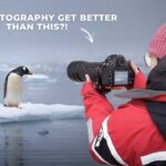 Releasing Expectations: Antarctica Photography with a Nikon D850