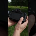 Are They Good For Vlogging? Canon 77D vs Rebel T7 (2000D)