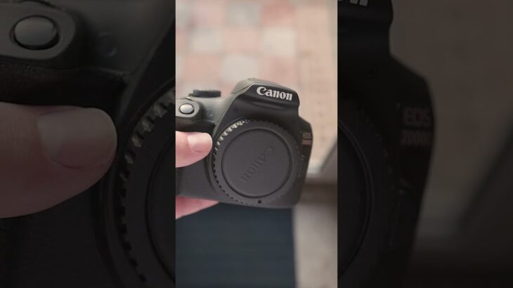 Do They Have Weather Sealing? Canon 77D vs Rebel T7 (2000D)