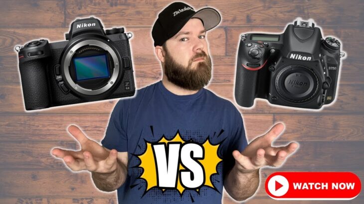 I Compared the Nikon D780 & Z6ii and You Should Know This…