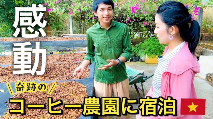 【感動のドキュメンタリー】ベトナムのコーヒーファーム探検！Midori Coffee Farmで体験する美味しさと情熱！奇跡の宿に宿泊！
