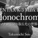 PENTAX K-3 Mark Ⅲ Monochrome in Japanese Forest.モノクロで切り取る光の世界