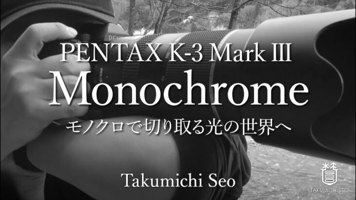 PENTAX K-3 Mark Ⅲ Monochrome in Japanese Forest.モノクロで切り取る光の世界