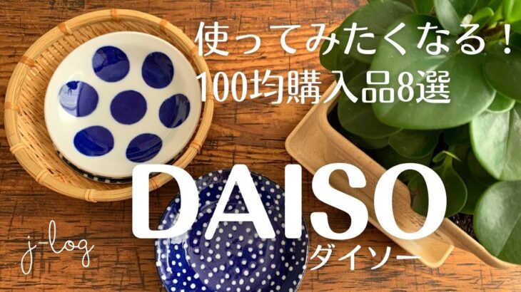 【ダイソー DAISO】100均購入品/白×紺の小皿/エコプランターとグリーン/さまざまに対応するフック2種【商品紹介/シンプルな暮らし】