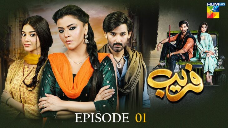 Fareb – Episode 01 – 7th May 2023 – [ Zain Baig, Zainab Shabbir , Maria Wasti ] HUM TV