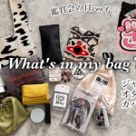 What’s in my bag？｜ジャニオタがオタ活する日のバッグの中身｜自作グッズで収納