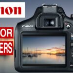 CANON CAMERA AND PHOTOGRAPHY TIPS – USING LIVE VIEW for beginners.