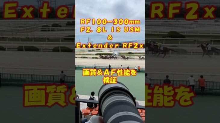 RF100-300mm F2.8L → 200-600mm F5.6(EXTENDER 2x)画質&AF性能をプロカメラマンが検証 canon キヤノン 2倍テレコン エクステンダー