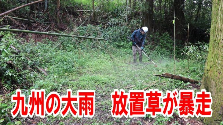 九州の大雨で庭の草が暴走！ナイロンコードを駆使して草刈りのピンチを脱出