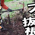根っ子山がボロボロ崩れて竹株もゴミもまとめて大量ゲット！